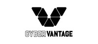 cyber-vantage